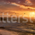 The Coast, Dusk Mural Wallpaper - pure wallpaper artwork