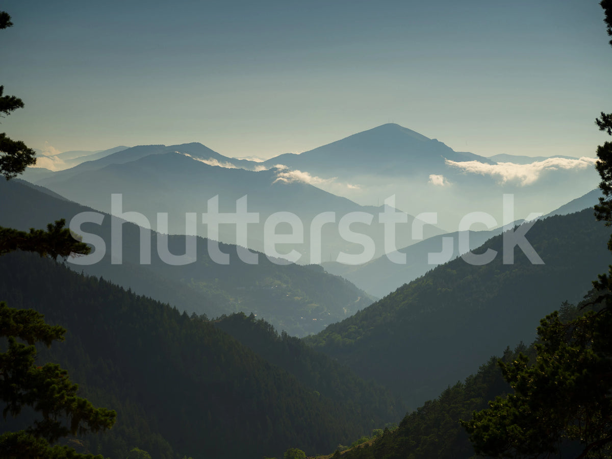 Magic Hills, Blue Mural Wallpaper - pure wallpaper artwork