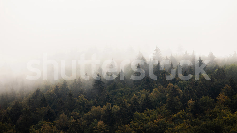 Hazy Hill, Morning Mural Wallpaper