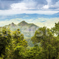 High Mountains, Green Mural Wallpaper - pure wallpaper artwork