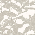 Rose Grape, Beige Mural Wallpaper - pure wallpaper artwork