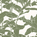 Rose Grape, Green Mural Wallpaper - pure wallpaper artwork