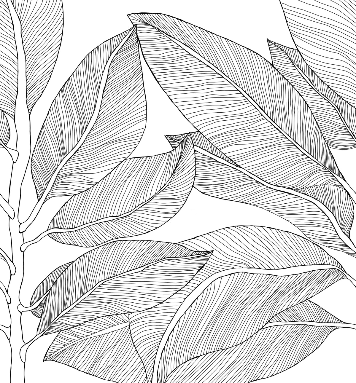 Ruby Lines, Black Mural Wallpaper - pure wallpaper artwork