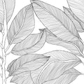 Ruby Lines, Black Mural Wallpaper - pure wallpaper artwork