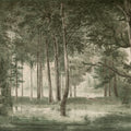 Lovers Forest, Green Mural Wallpaper - pure wallpaper artwork