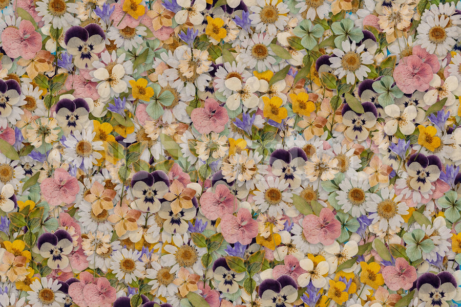 Floral Meadow, Multi Mural Wallpaper