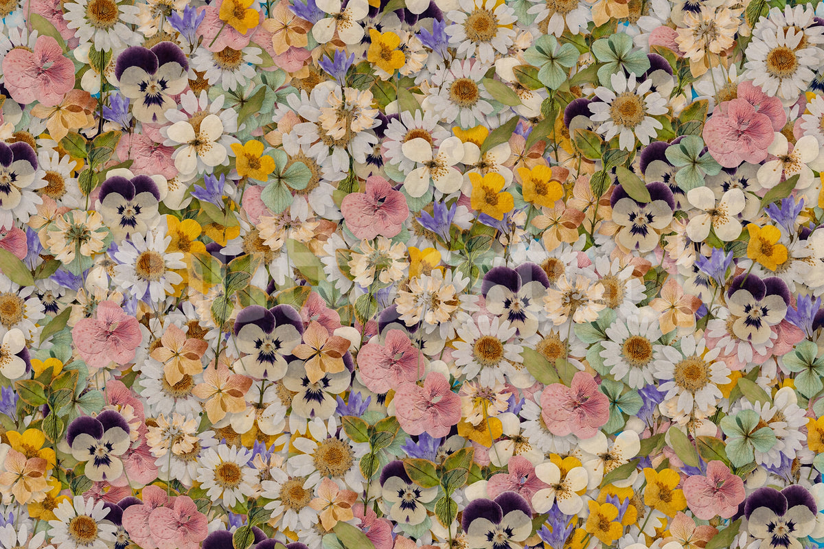 Floral Meadow, Multi Mural Wallpaper - pure wallpaper artwork