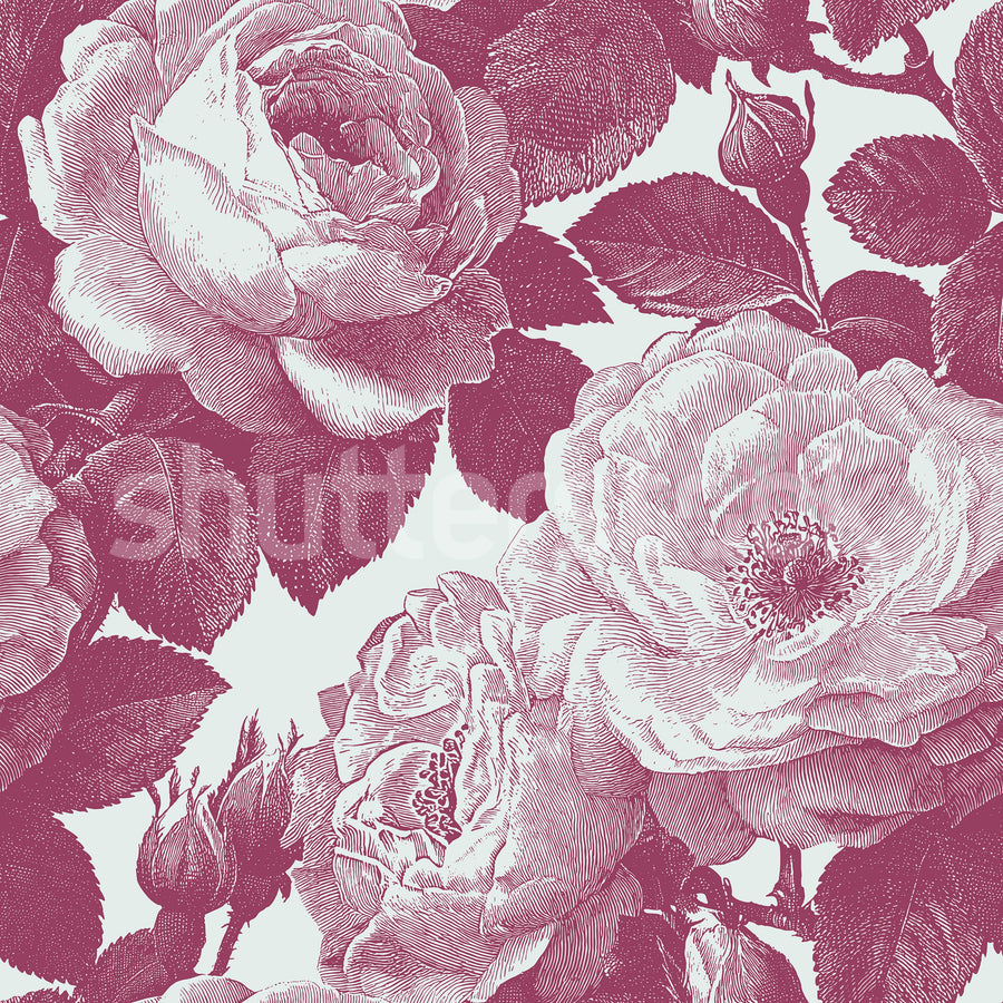 Bold Roses, Pink Mural Wallpaper
