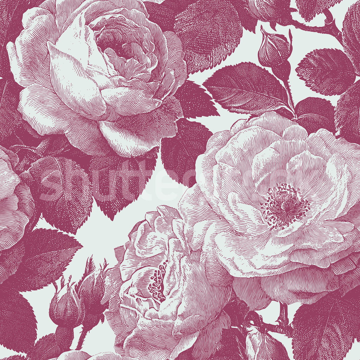 Bold Roses, Pink Mural Wallpaper - pure wallpaper artwork