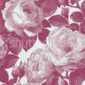 Bold Roses, Pink Mural Wallpaper - pure wallpaper artwork