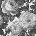 Bold Roses, Black & White Mural Wallpaper - pure wallpaper artwork
