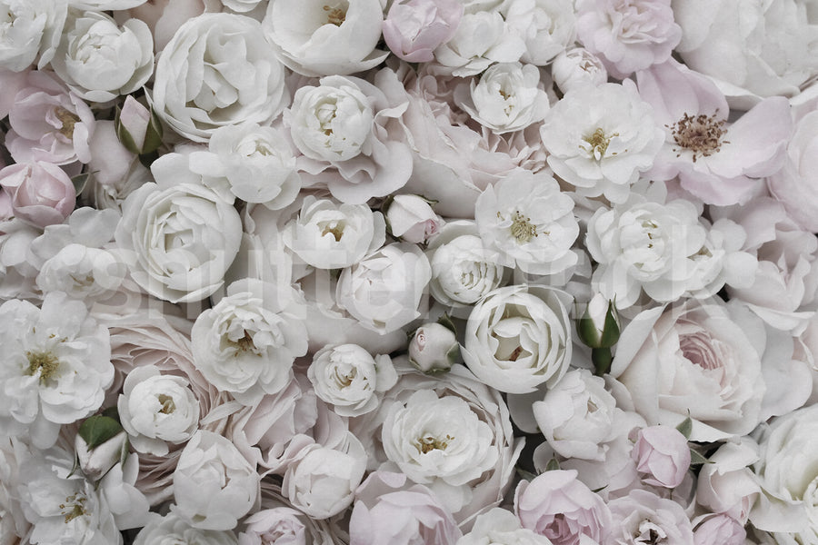 Bouquet of Buttercups, Soft Mural Wallpaper