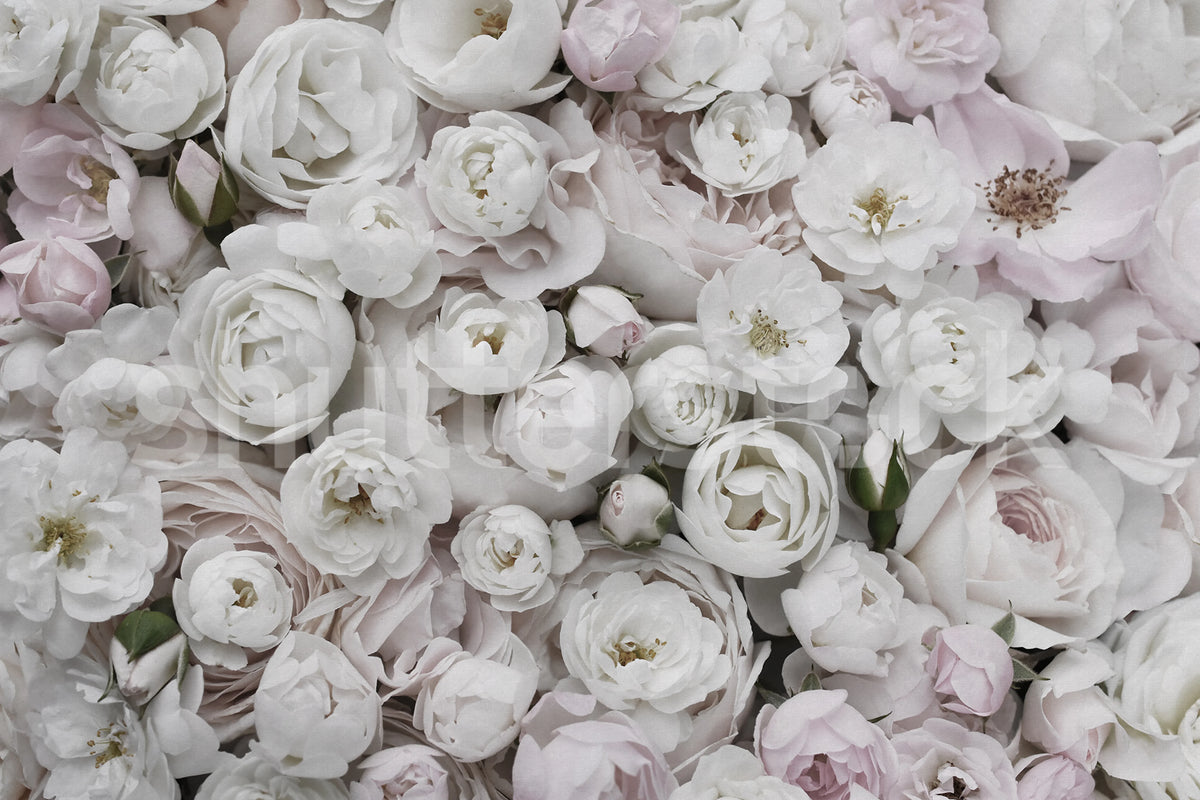 Bouquet of Buttercups, Soft Mural Wallpaper - pure wallpaper artwork