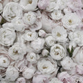 Bouquet of Buttercups, Soft Mural Wallpaper - pure wallpaper artwork