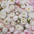 Bouquet of Buttercups, Pink Mural Wallpaper - pure wallpaper artwork