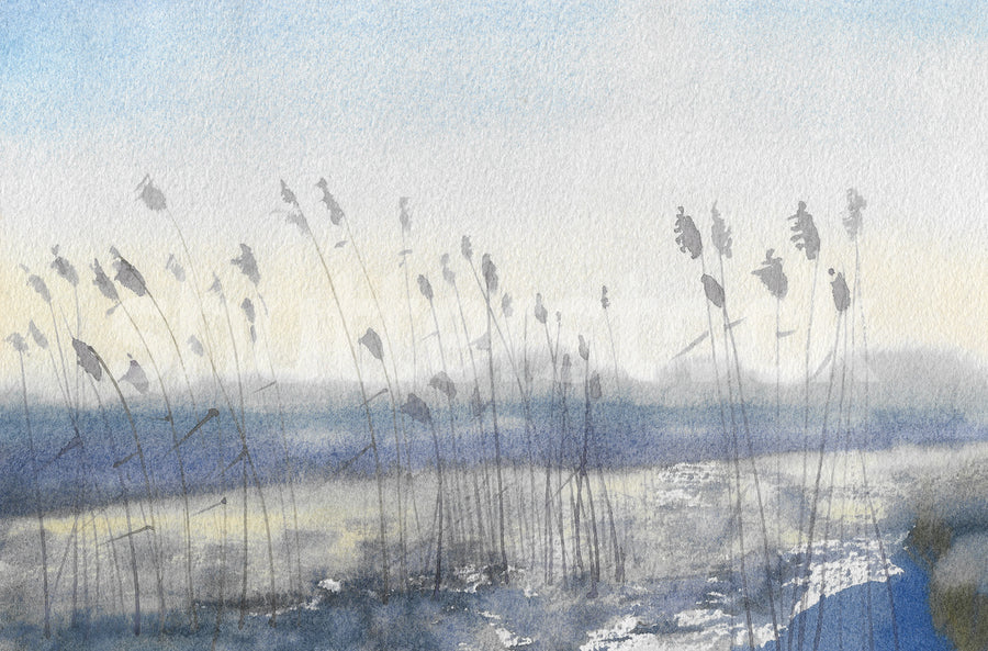 Sea View, Soft Blue Mural Wallpaper