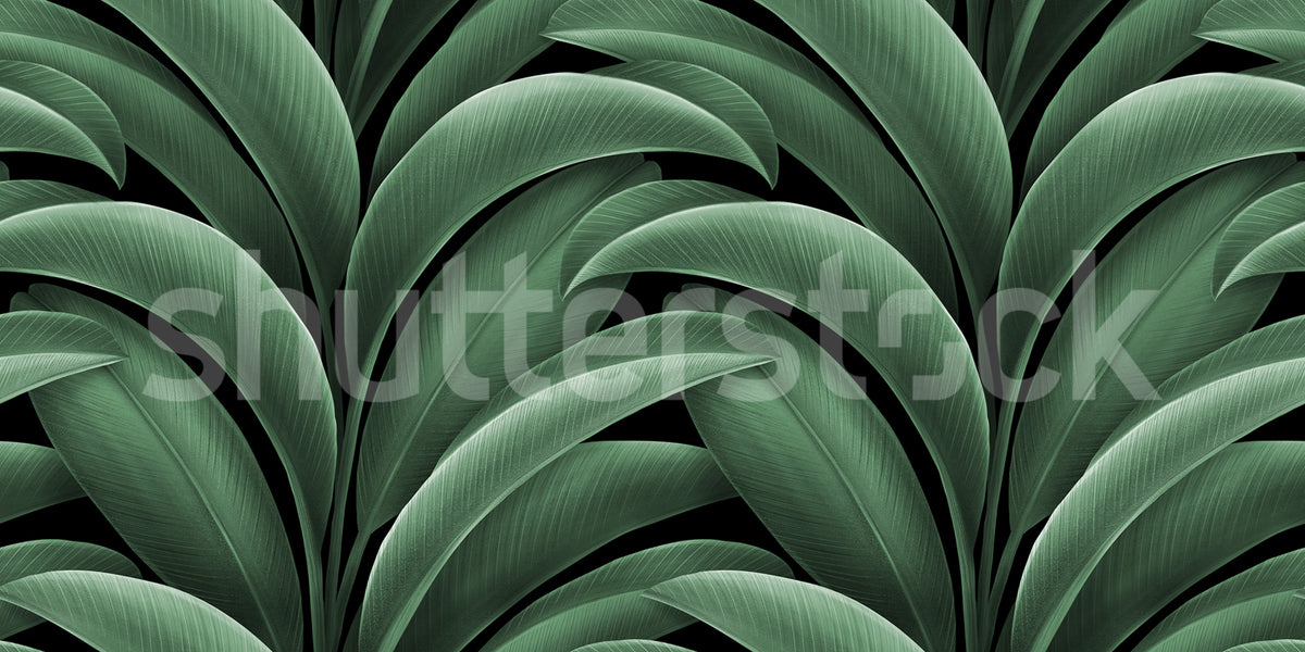 Grand Leaves, Green Mural Wallpaper - pure wallpaper artwork