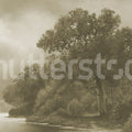 Tranquil Forest, Beige Mural Wallpaper - pure wallpaper artwork