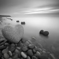 Heart-shaped Stones on Beach Mural Wallpaper Black, White and Stones Mural Wallpaper - room preview 02