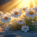 Sunlit Daisy Field Mural Wallpaper White, Yellow, Green and Golden Flower Mural Wallpaper - room preview 02