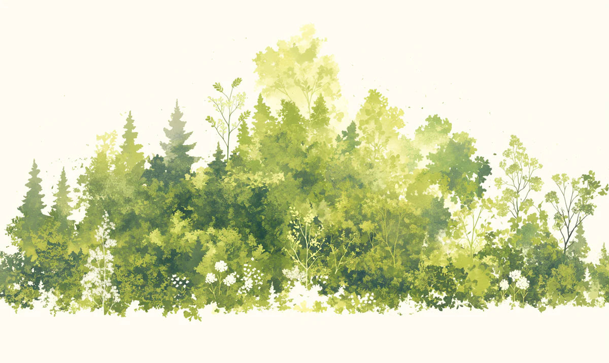 Lush Green Forest Mural Wallpaper Various Shades of Green and Yellow Forest -1 Mural Wallpaper - room preview 02