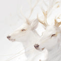 White Deers with Gold Accents Mural Wallpaper White, Gold and Beige Deer Mural Wallpaper - room preview 02