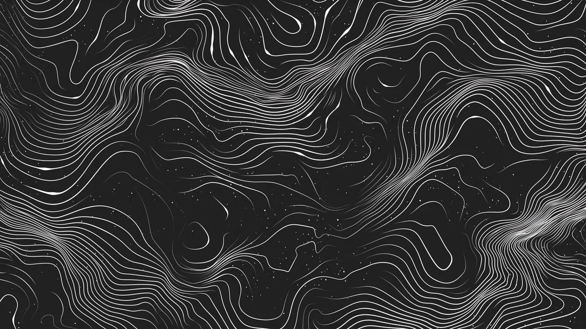 Topographic Nightline Mural Wallpaper Black and White Abstract Contour Lines Mural Wallpaper - room preview 02