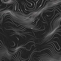 Topographic Nightline Mural Wallpaper Black and White Abstract Contour Lines Mural Wallpaper - room preview 02
