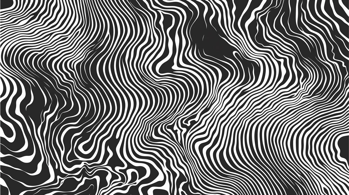 Zebra Wave Mural Wallpaper Black and White Optical Stripe Pattern Mural Wallpaper - room preview 02