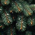 Green Palm Leaf Mural Wallpaper in Cafe Various Shades of Green Palm -3 Mural Wallpaper - room preview 02