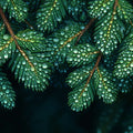 Green Palm Leaf Mural Wallpaper in Cafe Various Shades of Green Palm -4 Mural Wallpaper - room preview 02