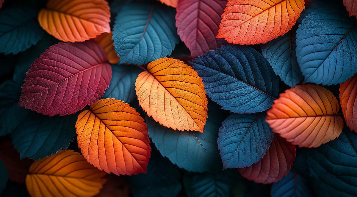 Colorful Leaf Mural Wallpaper in Bedroom Various Colors (Orange, Blue, Purple, etc.) Leaves Mural Wallpaper - room preview 02
