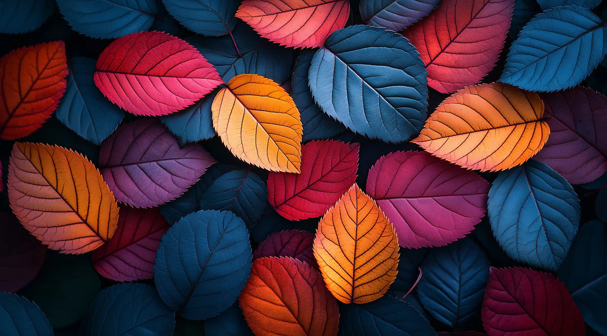Colorful Leaf Mural Wallpaper in Bedroom Various Colors (Orange, Blue, Purple, etc.) Leaves -1 Mural Wallpaper - room preview 02