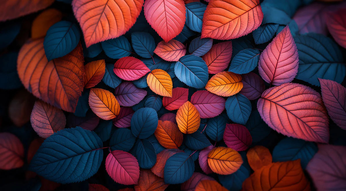 Colorful Leaf Mural Wallpaper in Bedroom Various Colors (Orange, Blue, Purple, etc.) Leaves -3 Mural Wallpaper - room preview 02