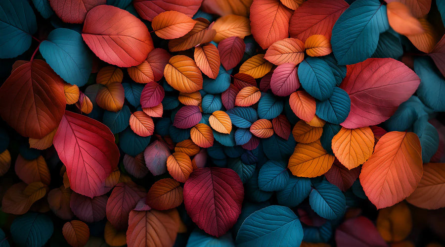Botanical Wallpaper Mural – Leaf & Plant Wall Mural for bedroom – Colorful Leaf in Bedroom Various Colors (Orange, Blue, Purple, etc.) Leaves -4 printable artwork