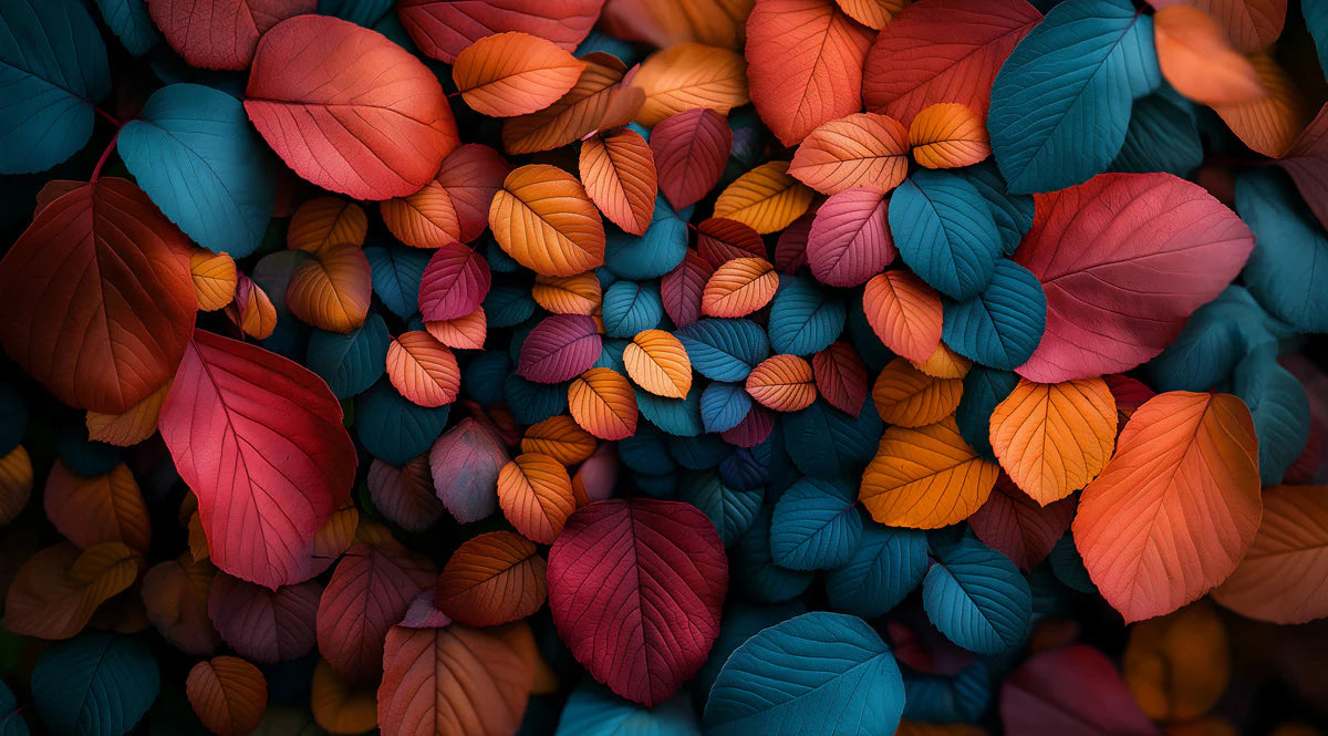 Colorful Leaf Mural Wallpaper in Bedroom Various Colors (Orange, Blue, Purple, etc.) Leaves -4 Mural Wallpaper - room preview 02
