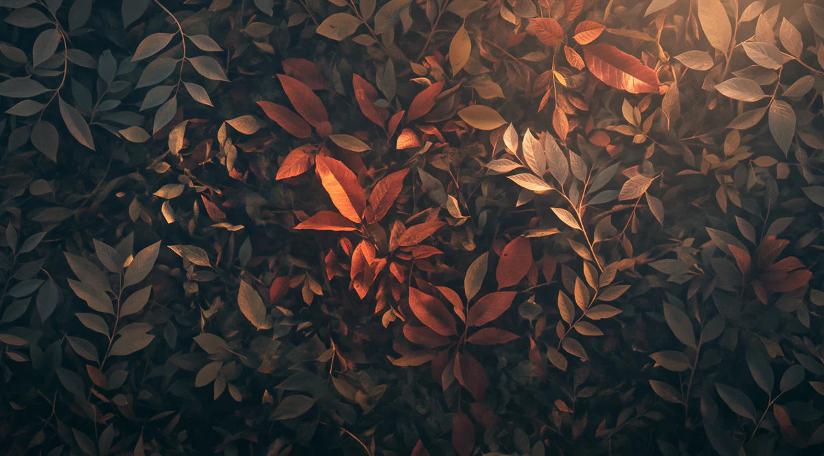 Autumn Leaf Mural Wallpaper in Bedroom Brown, Orange, and Dark Green Autumn Leaves -2 Mural Wallpaper - room preview 02