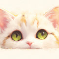 Cat Eyes Mural Wallpaper in Bed Room Various Colors (Pink, Yellow, Green, etc.) Mural Wallpaper - room preview 02