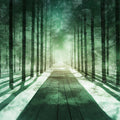 Snowy Forest Mural Wallpaper in livingRoom Green, Blue Snowy Forest Mural Wallpaper - room preview 02