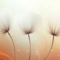 Ethereal Dandelion Floral Mural Wallpaper — Soft Peach and Cream Mural Wallpaper - room preview 02