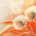 Floating Dandelion Seed Mural Wallpaper — Warm Gradient Sunset Mural Wallpaper - room preview 02