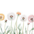 Watercolor Dandelion Meadow Mural Wallpaper — Whimsical Floral Mural Wallpaper - room preview 02