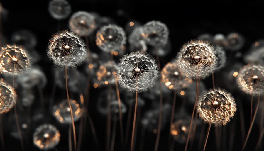 Dandelion Wallpaper Mural – Spring Flower Wall Mural – Floating Dandelion Seed in Monochrome and Gold printable artwork