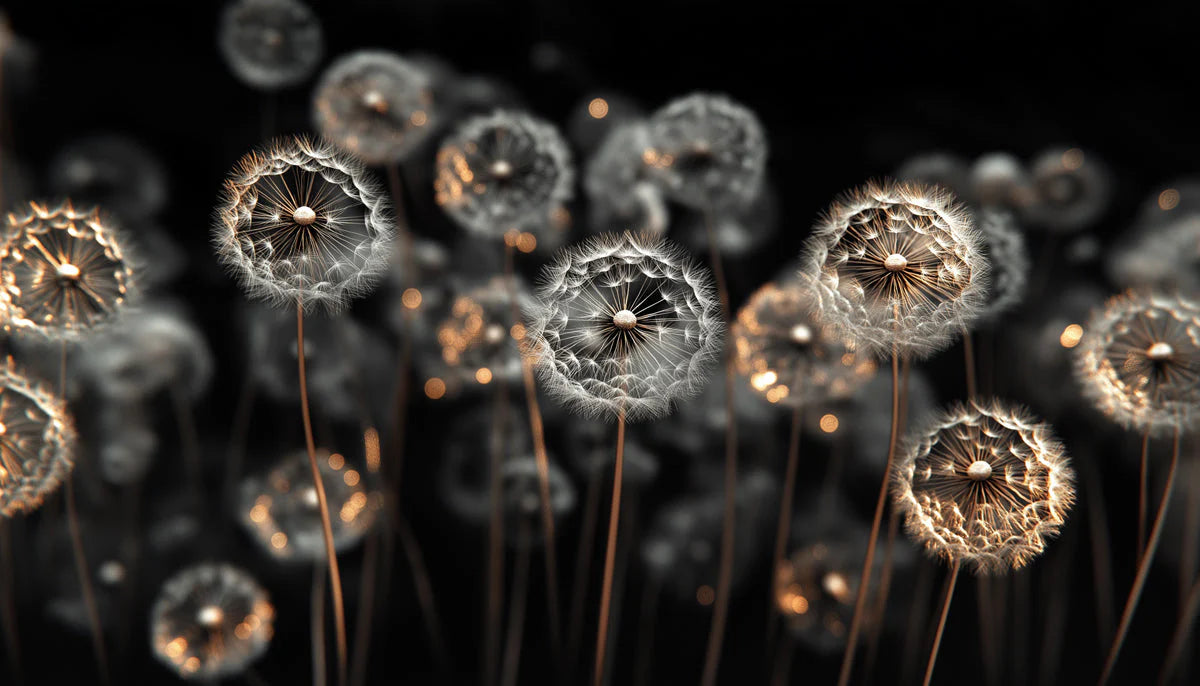 Floating Dandelion Seed Mural Wallpaper in Monochrome and Gold Mural Wallpaper - room preview 02