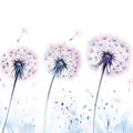 Dandelion Drift Mural Wallpaper — Minimalist Floral Design Mural Wallpaper - room preview 02
