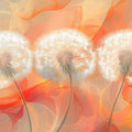 Abstract Dandelion Breeze Mural Wallpaper — Warm Oranges Mural Wallpaper - room preview 02