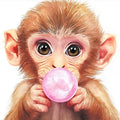 Baby Monkey Bubble Gum Mural Wallpaper — Whimsical Portrait Mural Wallpaper - room preview 02