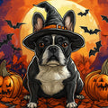 Witchy Frenchie Halloween Mural Wallpaper — Playful Seasonal Decor Mural Wallpaper - room preview 02