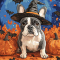 Frenchie Witch Halloween Mural Wallpaper — Playful Spooky Decor Mural Wallpaper - room preview 02