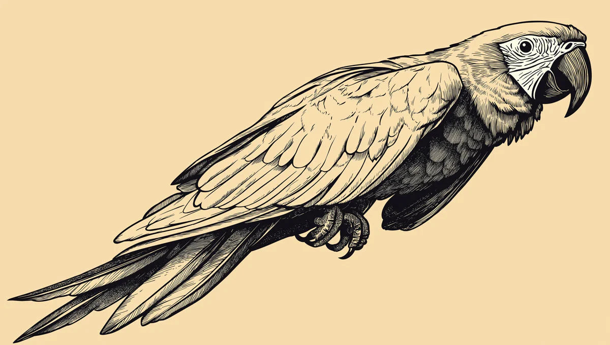 Macaw Silhouette Mural Wallpaper —Detailed Sketch Design Mural Wallpaper - room preview 02